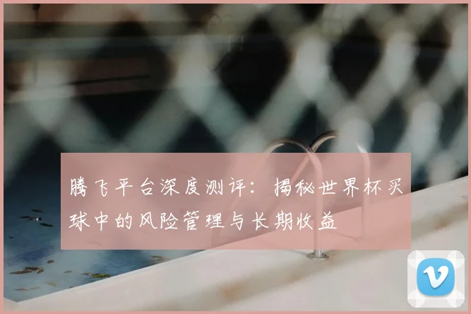 腾飞平台深度测评：揭秘世界杯买球中的风险管理与长期收益