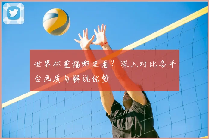 世界杯重播哪里看?深入对比各平台画质与解说优势