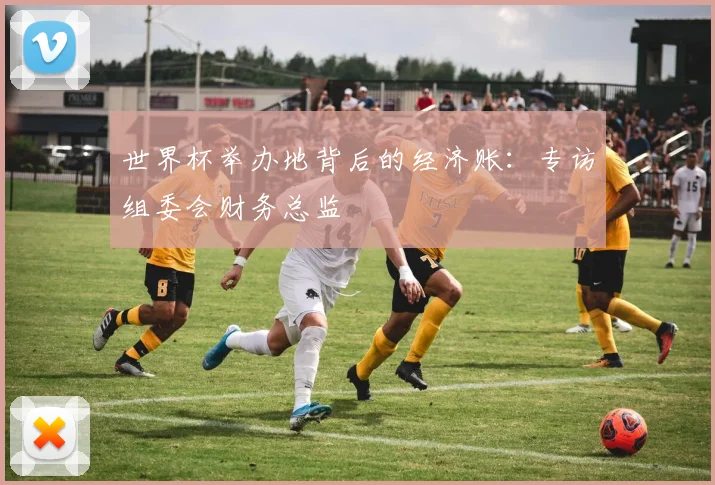 世界杯举办地背后的经济账:专访组委会财务总监