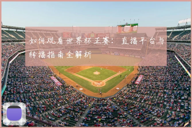 如何观看世界杯正赛：直播平台与转播指南全解析