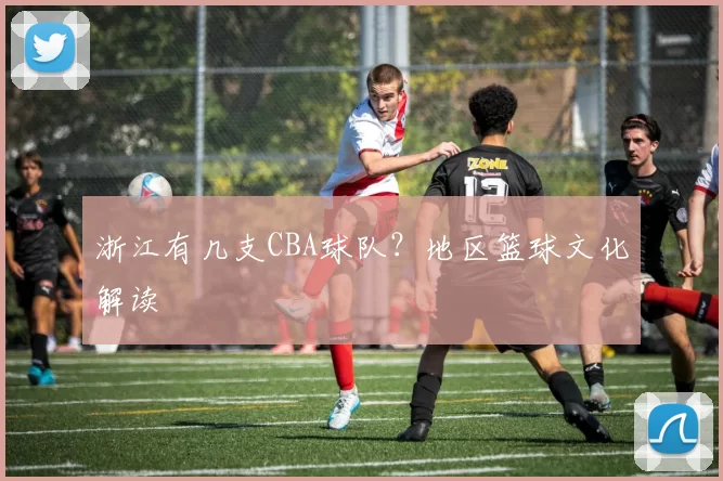 浙江有几支CBA球队？地区篮球文化解读