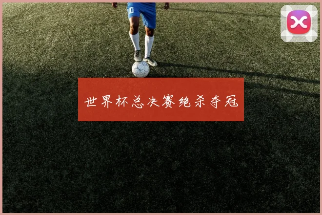 世界杯总决赛绝杀夺冠